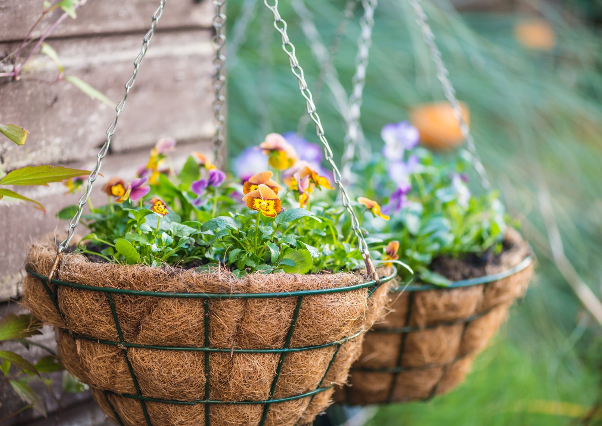 Sustainable Liners, Planters & Smart Gardening Solutions
