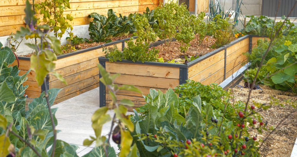 Raised Garden Beds | Vegetable, Herb & Flower Gardens