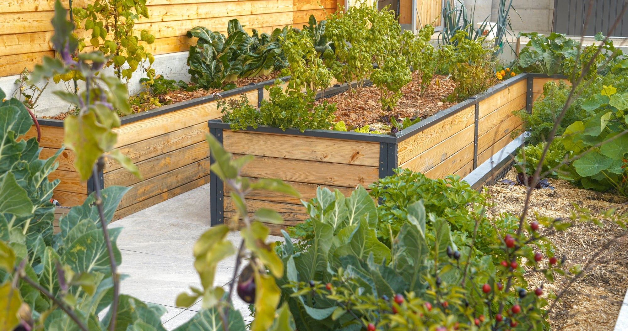 Raised Garden Beds | Vegetable, Herb & Flower Gardens