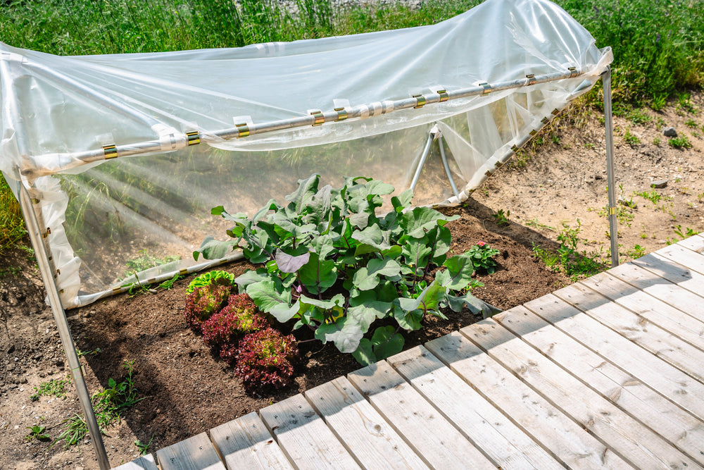 Greenhouses & Plant Protection | Extend Your Growing Season