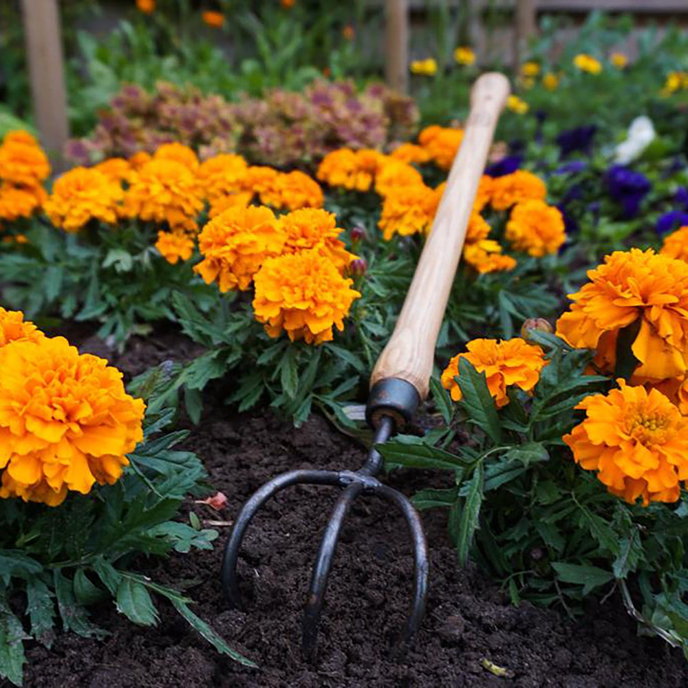 Garden Cultivators