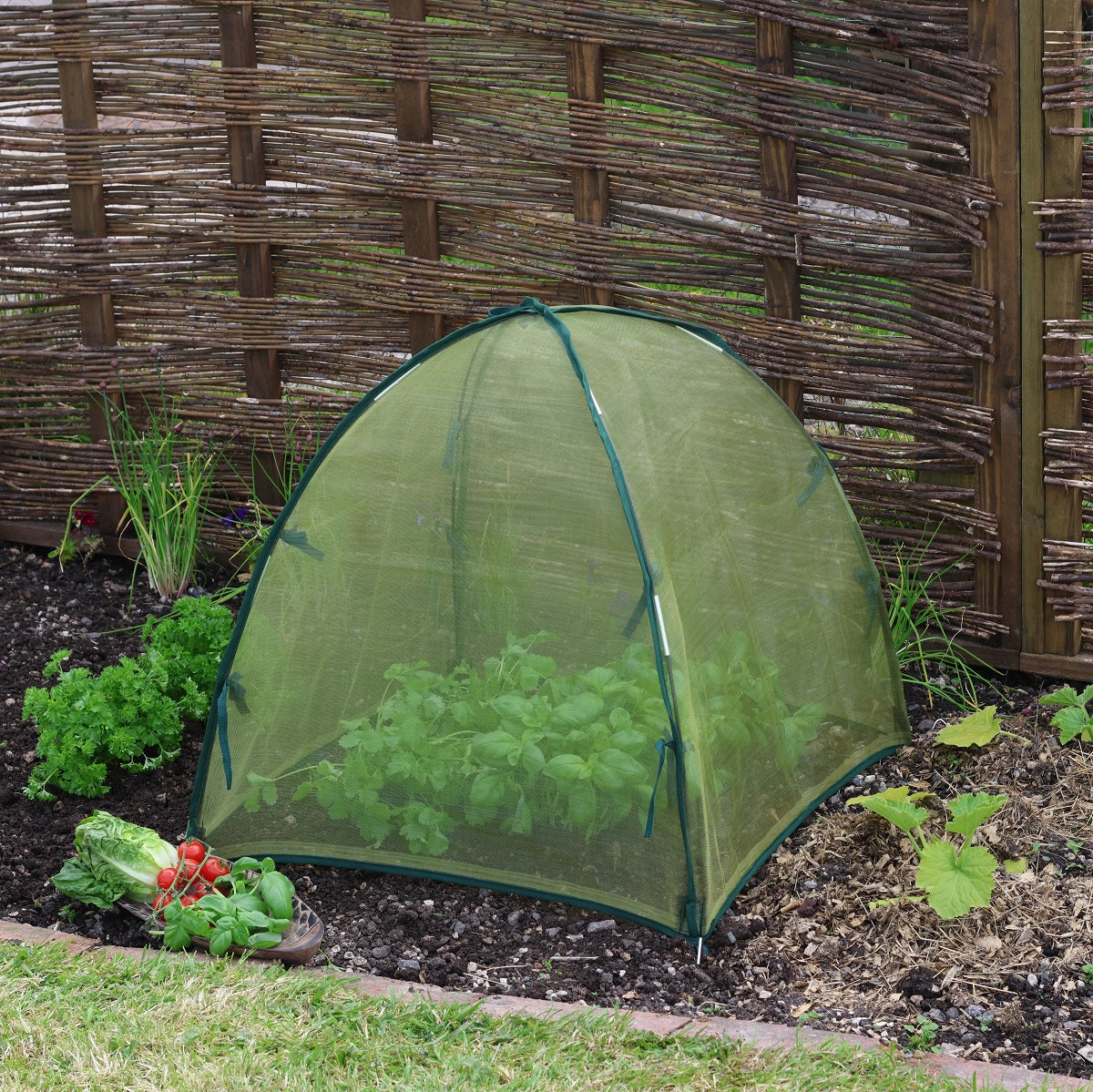 Plant Protection Covers & Tunnels
