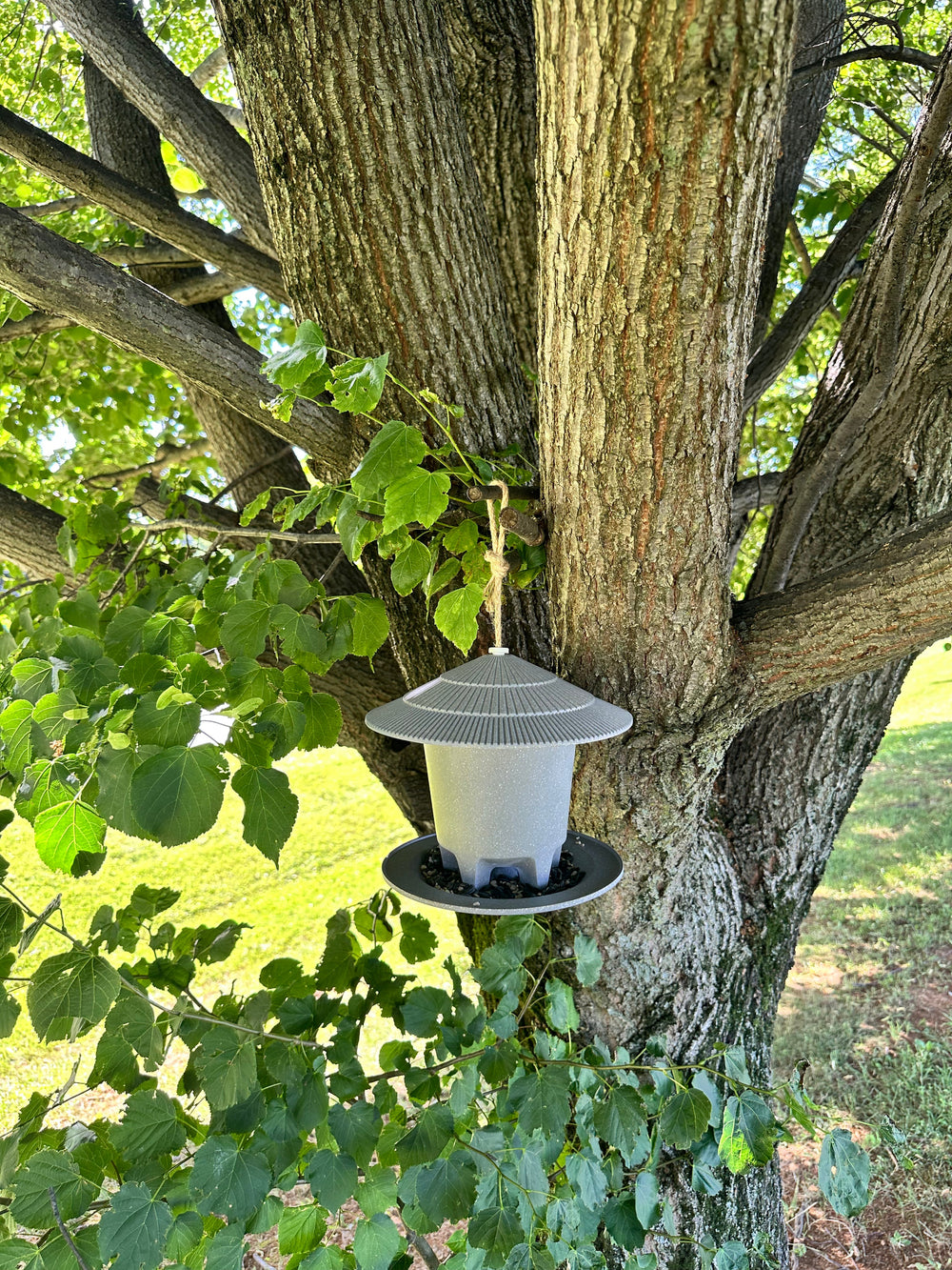 Bird Feeders