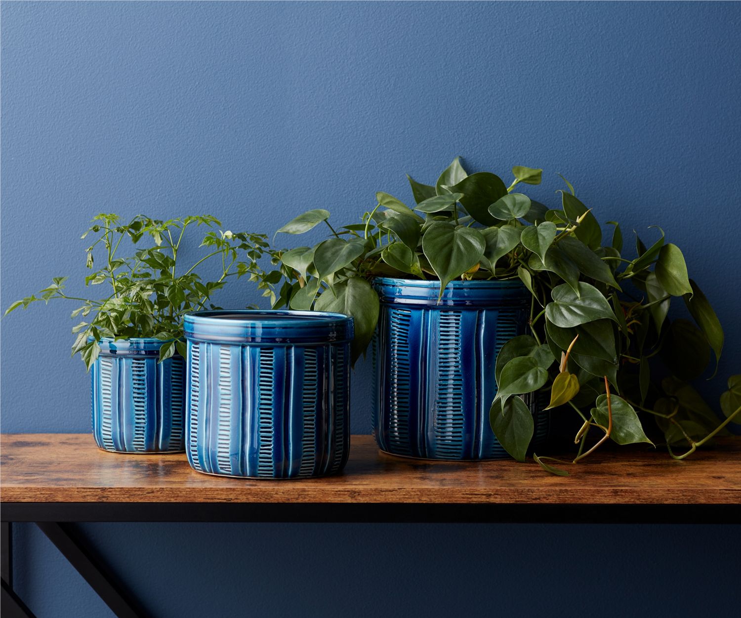 Pots & Planters | Terra Cotta