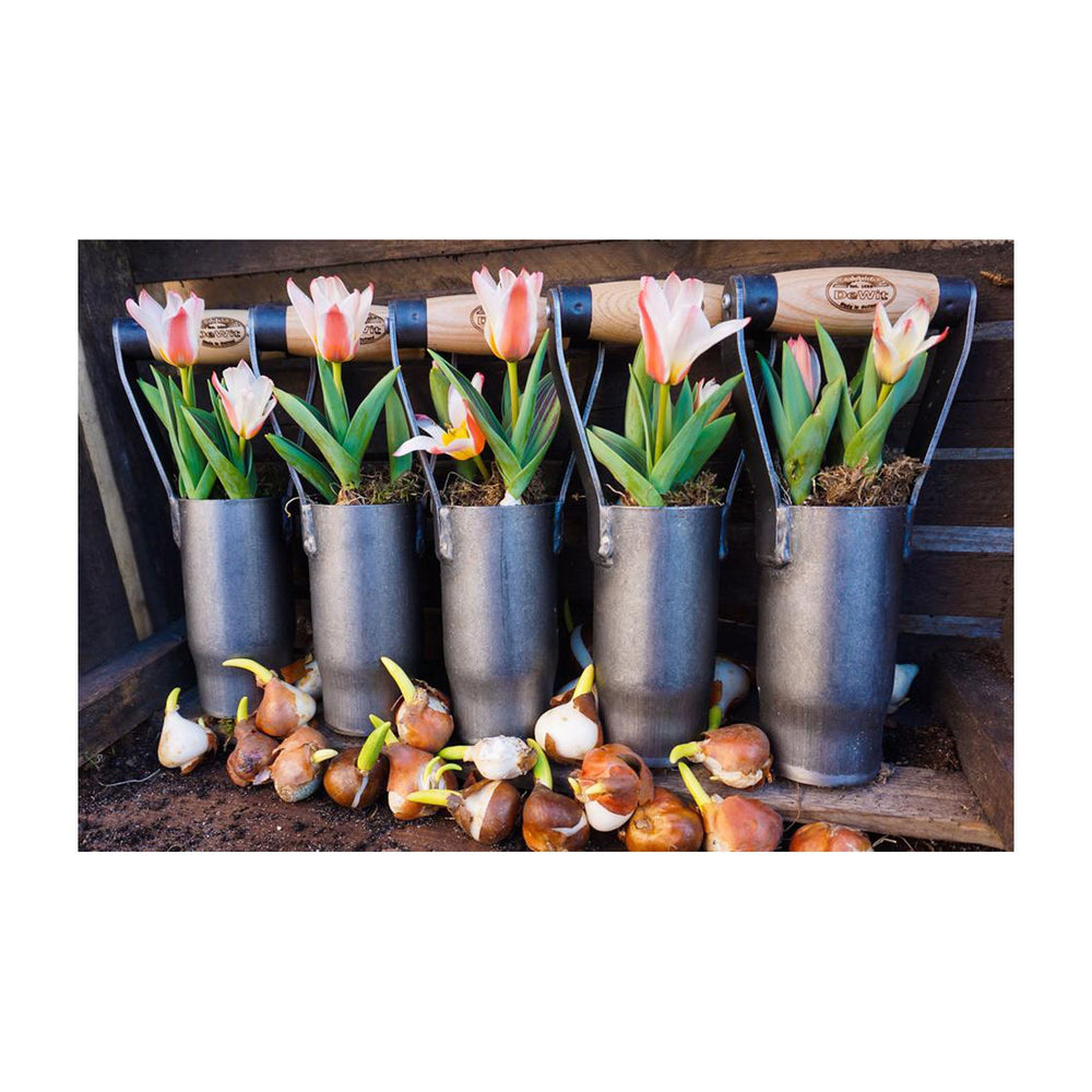 Garden Bulb Planters