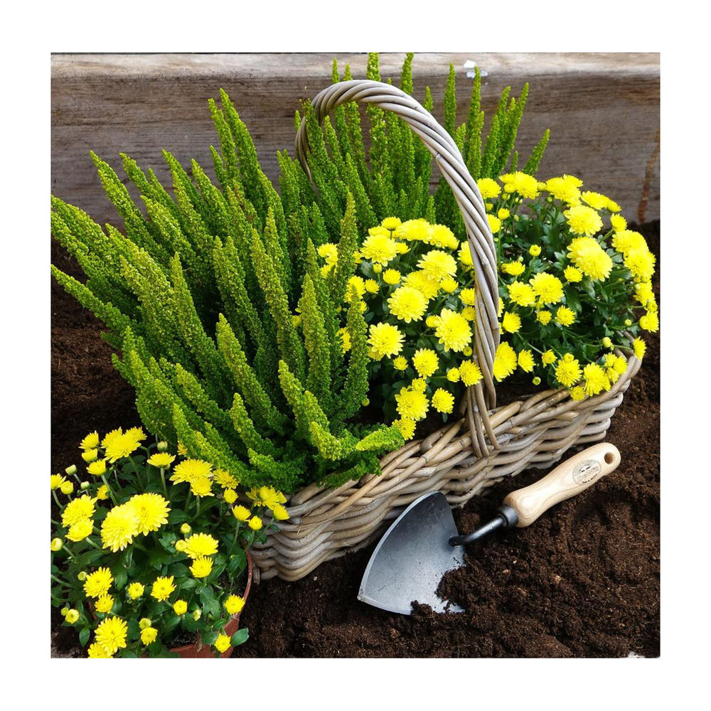 Garden Trowels & Transplanters