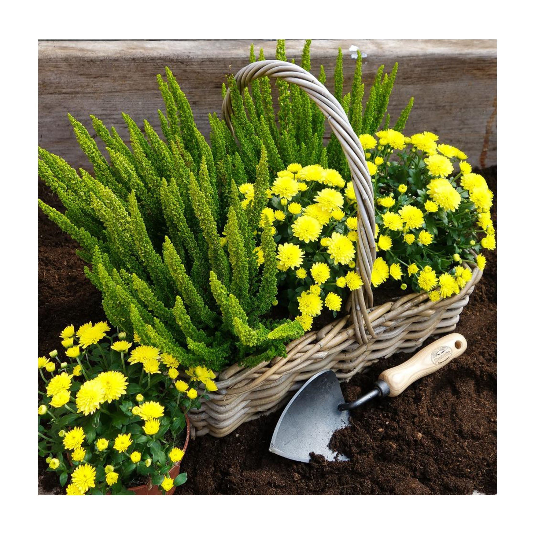 Garden Trowels & Transplanters