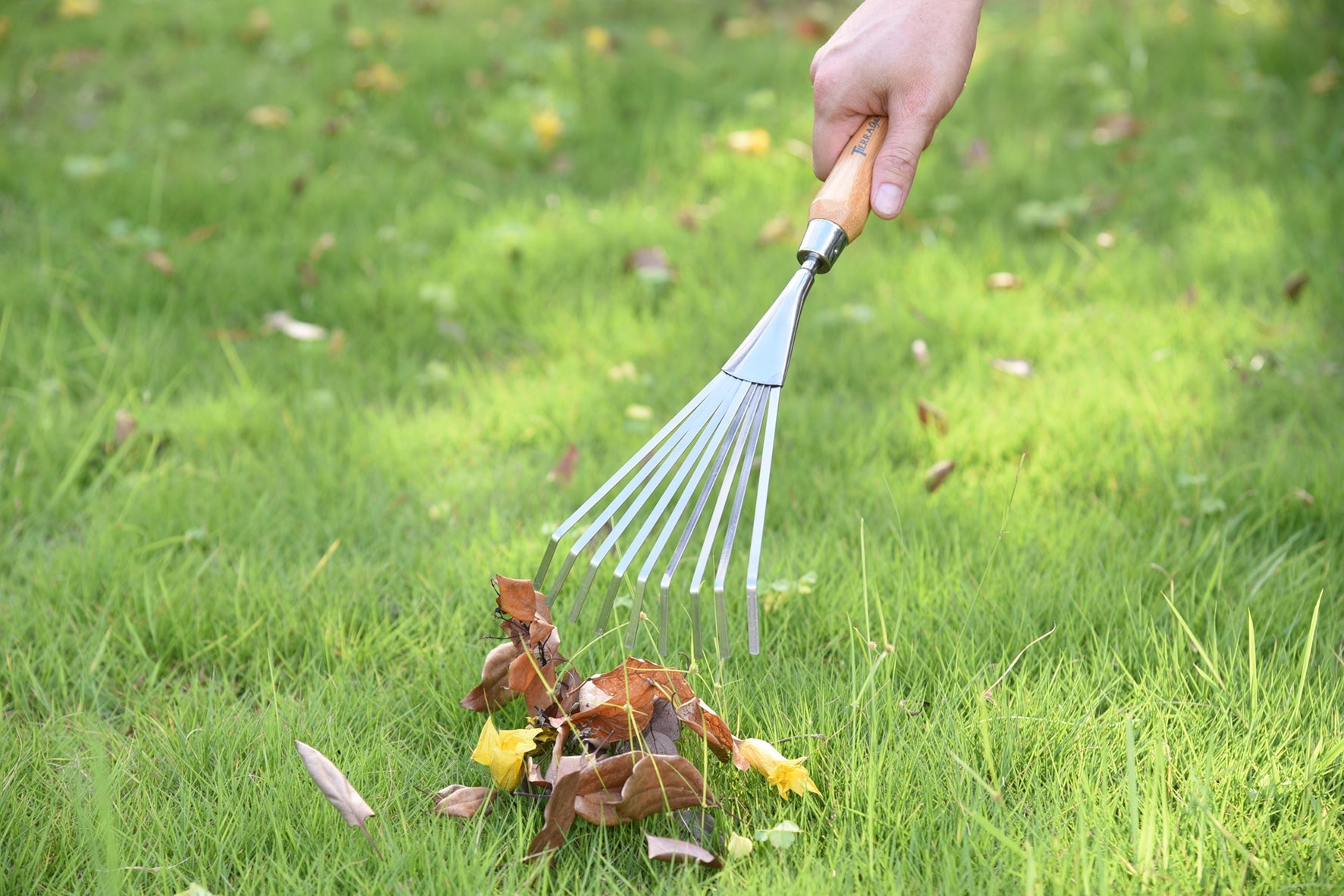 Garden Rakes