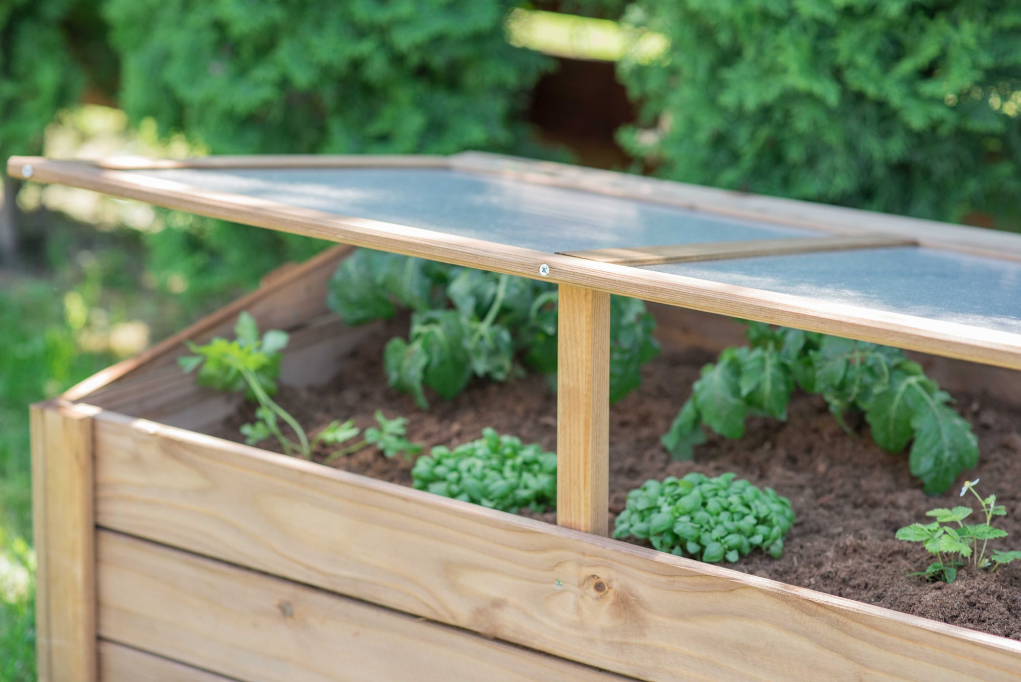Cold Frames, Poly Tunnels & Raised Garden Beds