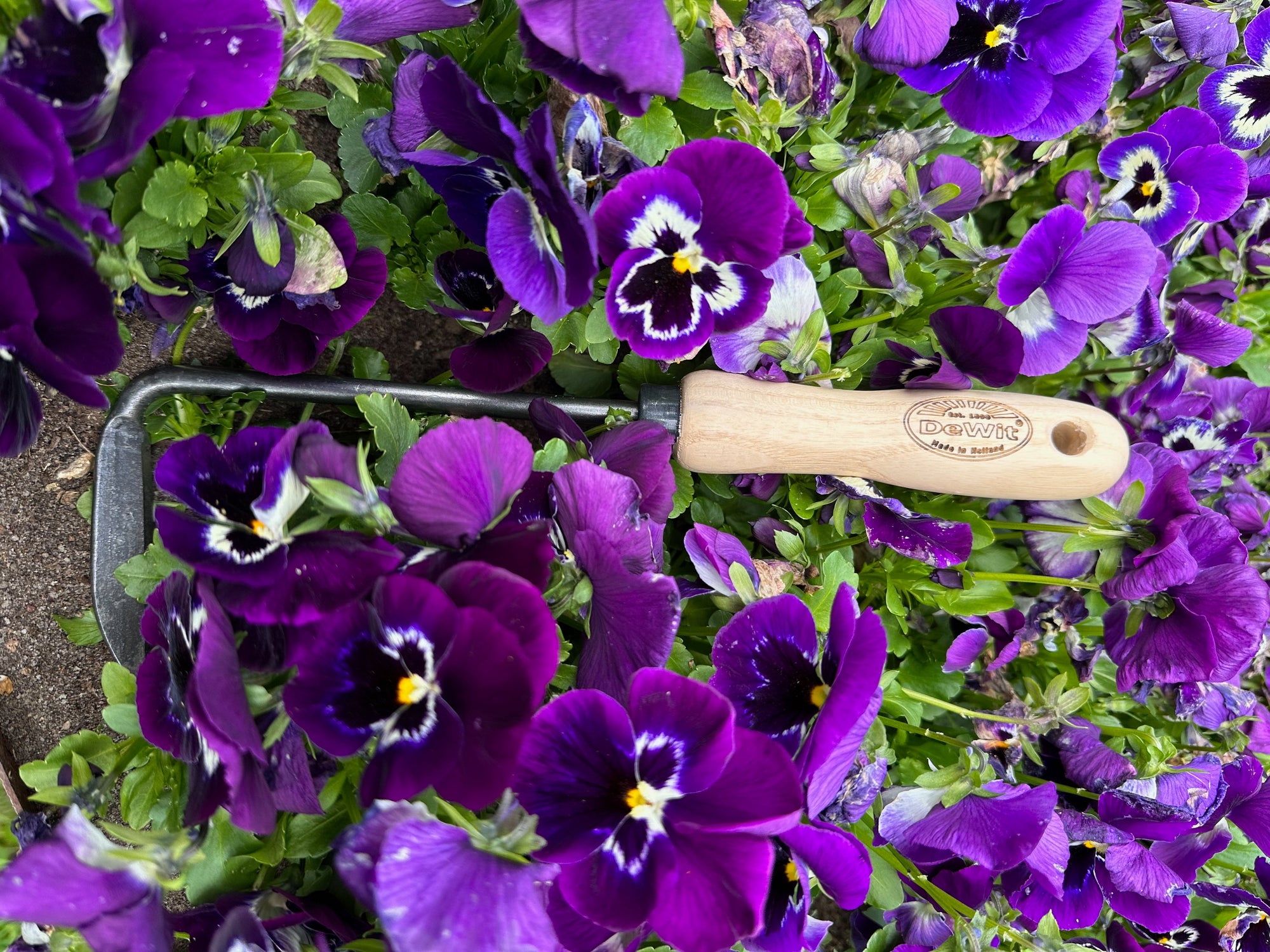 Garden Weeders