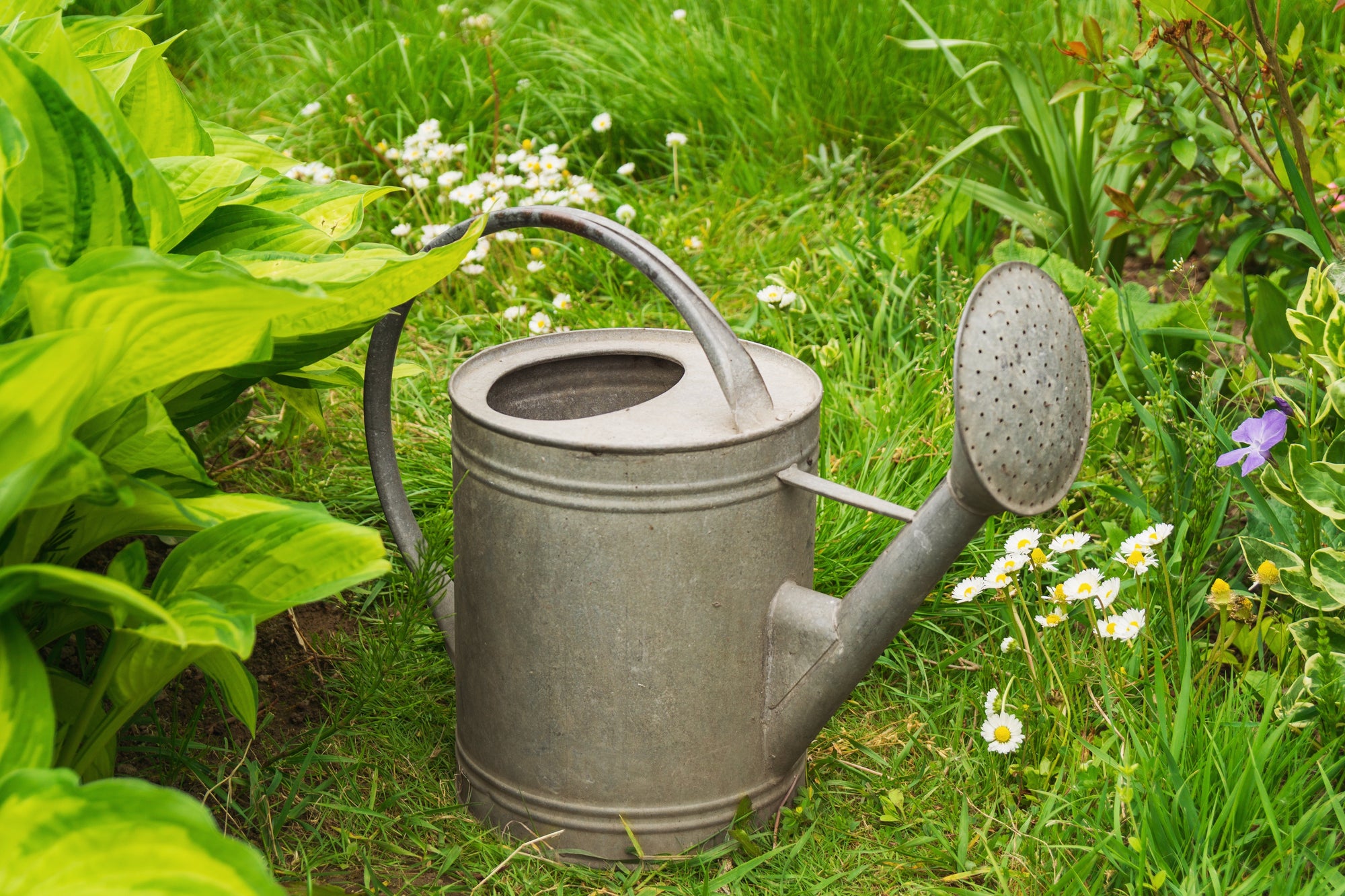 Watering Cans, Kneeling Pads & Garden Accessories