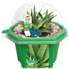 Alex 'The Soothing' Aloe Micro Dome Terrarium