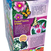 Bountiful Butterfly Garden Biosphere Terrarium