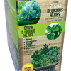 Culinary Herb Collection Biosphere Terrarium