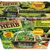 Culinary Herb Collection Biosphere Terrarium