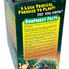 Tropical Rainforest Jungle Biosphere Terrarium