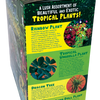 Tropical Rainforest Jungle Biosphere Terrarium