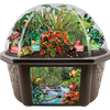 Tropical Rainforest Jungle Biosphere Terrarium