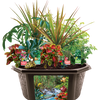 Tropical Rainforest Jungle Biosphere Terrarium