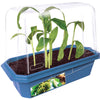 Bountiful Bananas Sprouter Terrarium