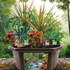 Tropical Rainforest Jungle Biosphere Terrarium