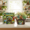 Tropical Rainforest Jungle Biosphere Terrarium