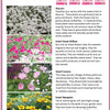 Bountiful Butterfly Garden Biosphere Terrarium