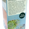 Stunning Sedum Glass Terrarium Seed Starting Kit
