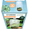 Stunning Sedum Glass Terrarium Seed Starting Kit
