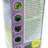 Superb Succulents Glass Terrarium Seed Starting Kit