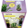 Superb Succulents Glass Terrarium Seed Starting Kit