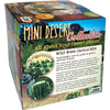 Mini Desert Collection Glass Terrarium Cacti Seed Starting Kit