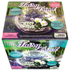 Fairy Triad Glass Terrarium Seed Starting Kit