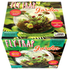 Flytrap Garden Glass Terrarium Seed Starting Kit