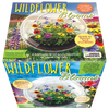 Wildflower Blooms Glass Terrarium Seed Starting Kit