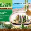 The Desert Mouse Garden Glass Terrarium with Cork