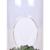 Stunning Sedum Glass Terrarium Seed Starting Kit