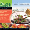 The Meat Eating Mouse Garden Glass Terrarium with Cork