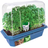 Crazy Cat Plant Mini World Terrarium