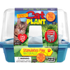 Crazy Cat Plant Mini World Terrarium