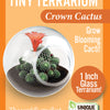 Flowering Cacti Tiny Terrariums Bundle - 2 each of 3 Varieties
