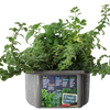Culinary Herb Collection Biosphere Terrarium