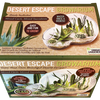 Desert Escape Growarium Succulent and Cacti Seed Terrarium Kit