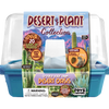 Desert Plant Collection Mini World Terrarium