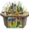 Desert Dome Biosphere Terrarium