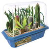 Desert Plant Collection Mini World Terrarium