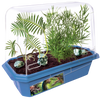 Prehistoric Dinosaur Land Mini World Terrarium