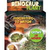 Dinosaur Plant -  Multipack of 3