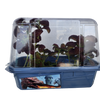 Dragons Den Mini World Terrarium
