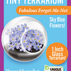 Flowering Tiny Terrariums Bundle - 1 each of 6 Varieties